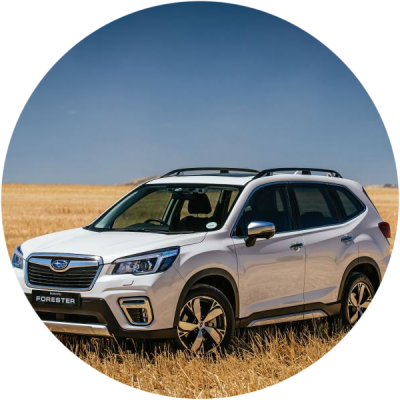 Ремонт Химчистка Subaru Forester